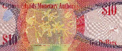 Beschrijving achterzijde: FLOWERS